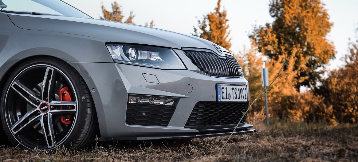 On the way in the forest - Skoda Octavia 5e